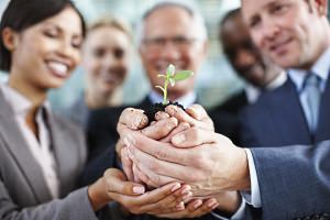 Business group holding seedling in palm of hands.